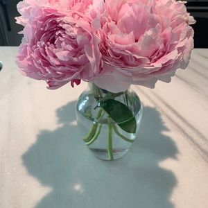 Meet your Posher, Kee